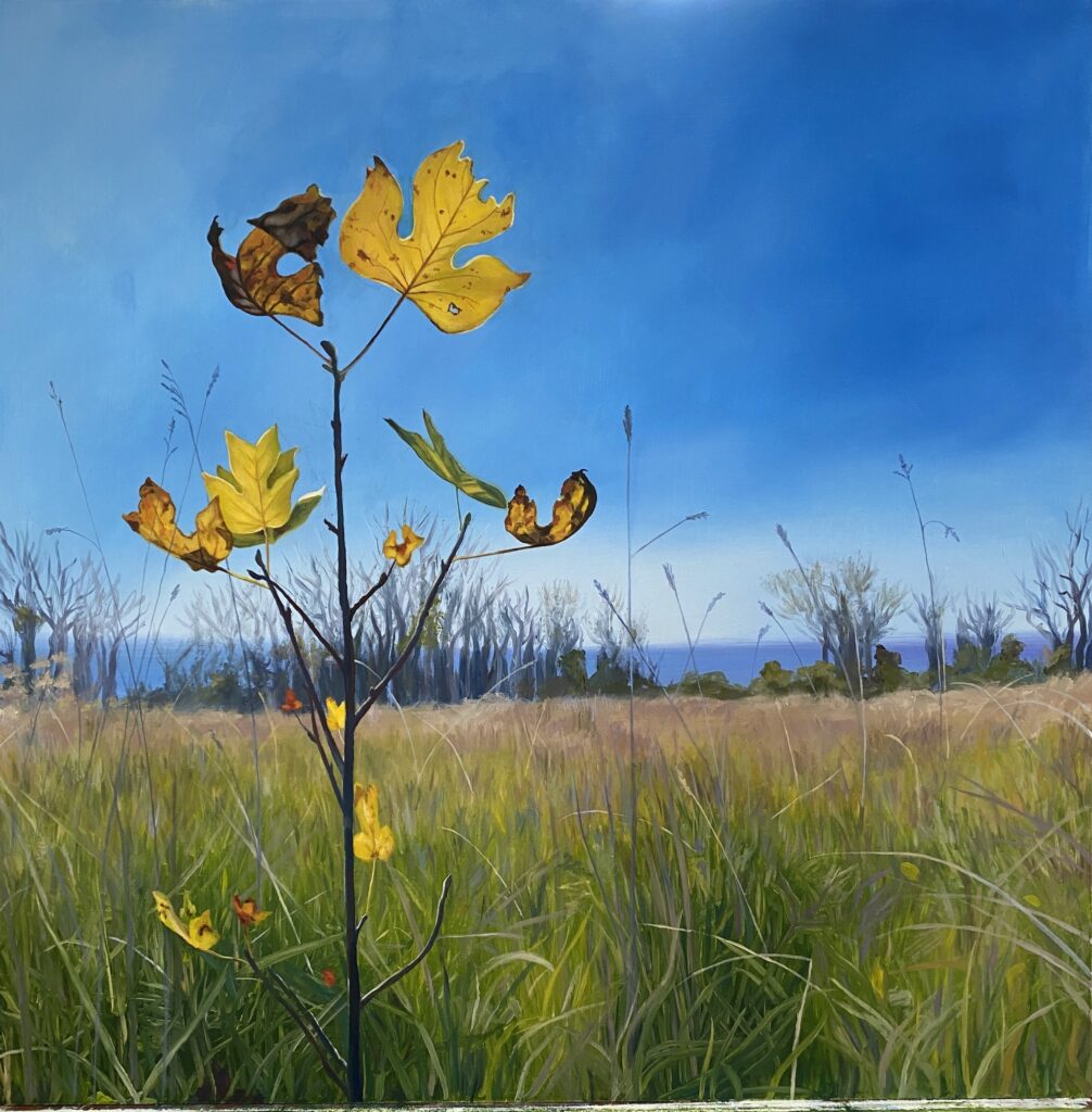 Baby Poplar - Oil on masonite - 18" x 18" - SOLD