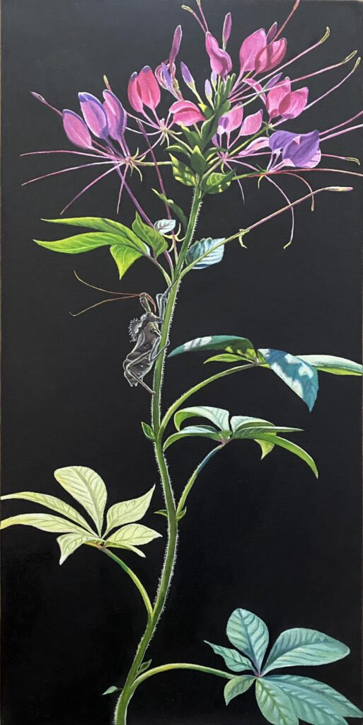 Beauty and the Assassin - Oil on canvas - 12" x 24"