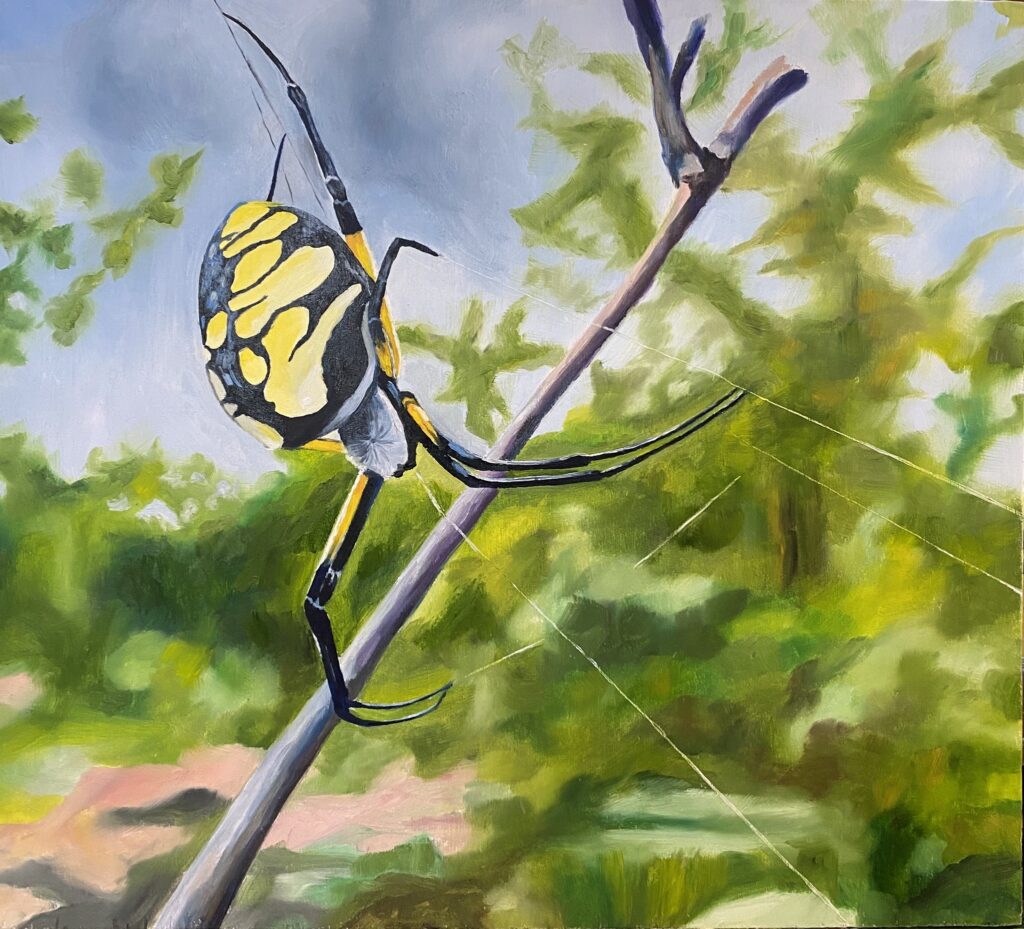 Black and Yellow Garden Spider - Oil on board - 10 1/2" x 11 11/16"