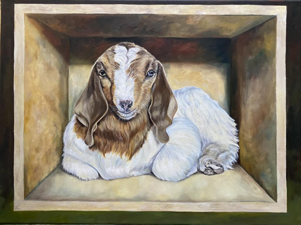 Ceasar - Oil on canvas - 18" x 24" - SOLD