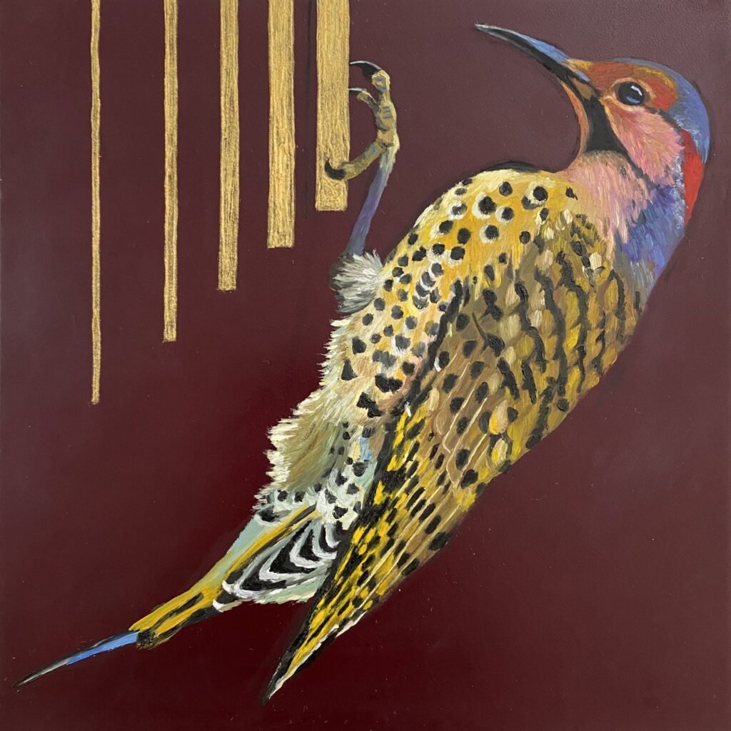 Northern Flicker - Oil on leather 6"x6" - SOLD
