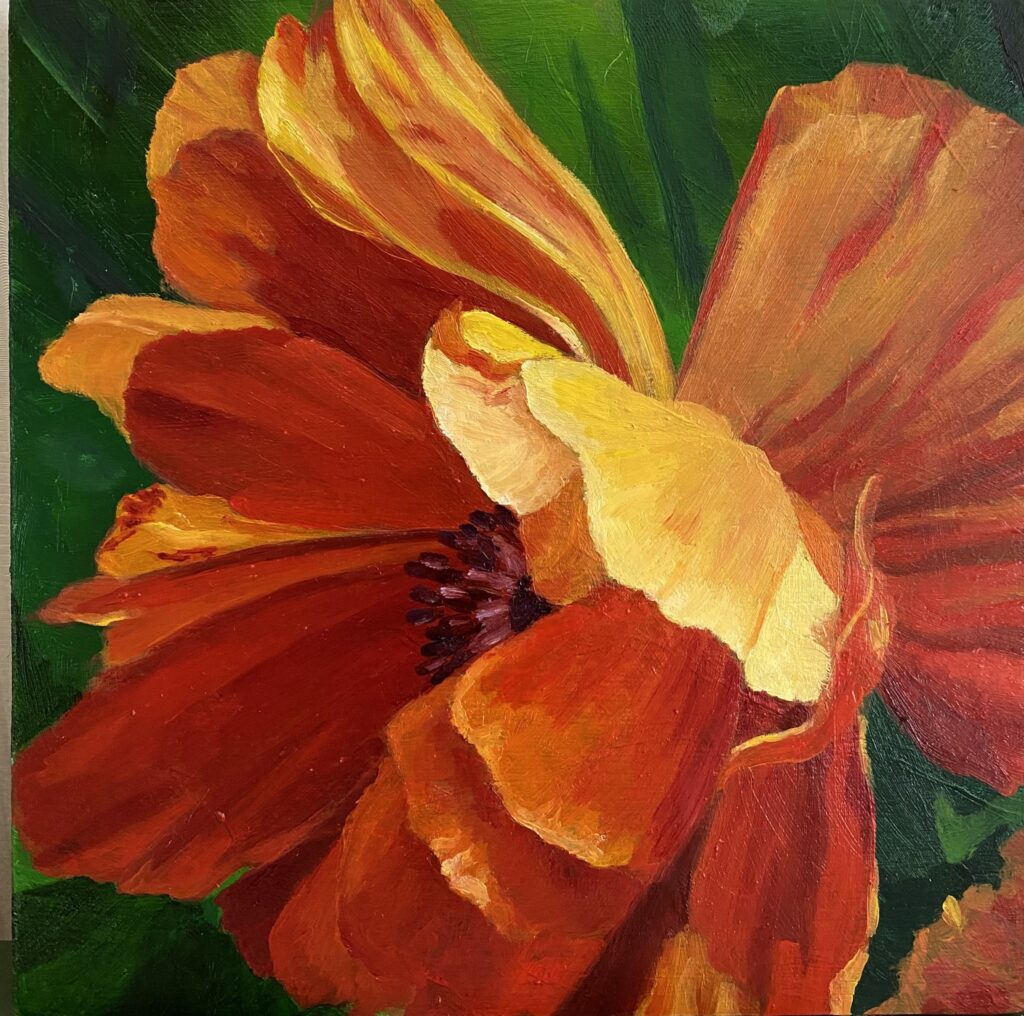 Orange Poppy - Oil on board - 5 3/4" x 5 3/4"
