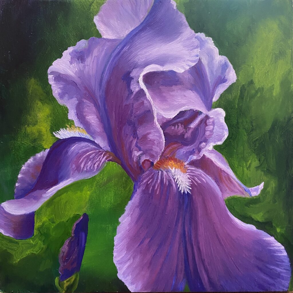 Purple Iris - Oil on board - 5 3/4" x 5 3/4"
