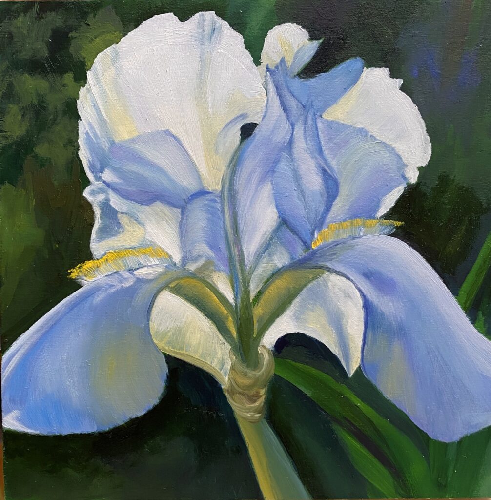 White Iris - Oil on board - 5 3/4" x 5 3/4" - SOLD